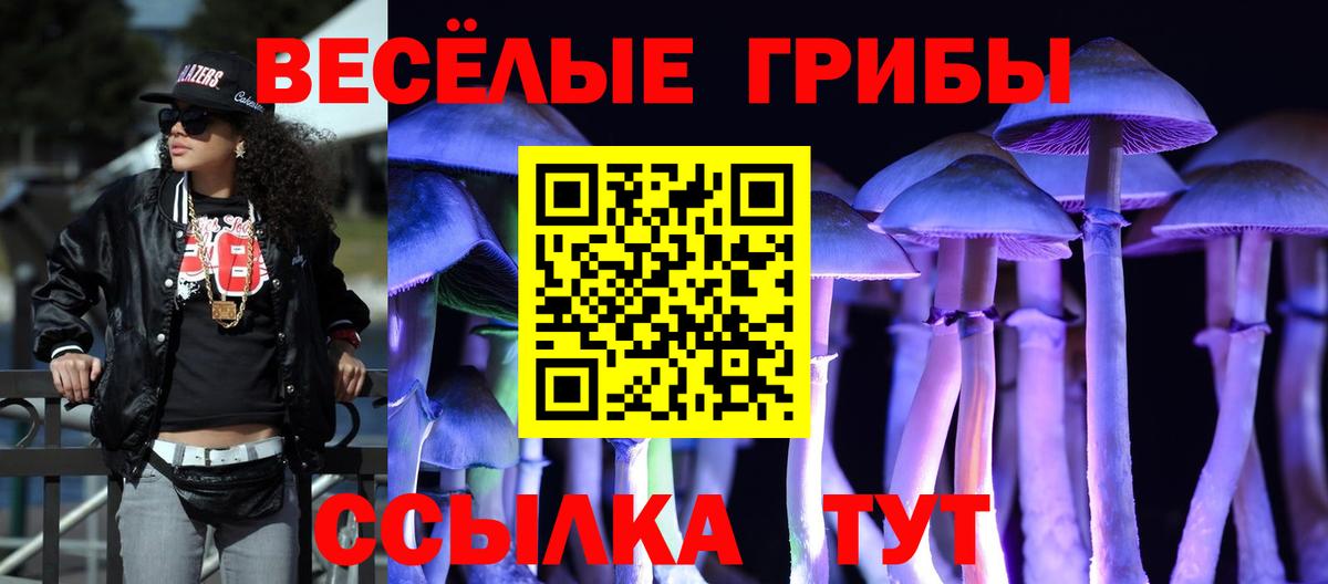Псилоцибиновые грибы Magic Shrooms  Вход с VPN  Псилоцибиновые грибы ЛСД  Кузнецк 